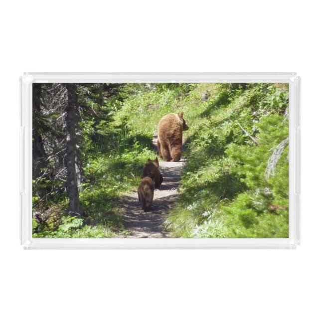 Brown Bear Family Acrylic Tray (Front)