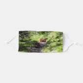 Brown Bear Family Adult Cloth Face Mask (Front, Folded)