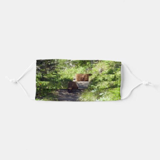 Brown Bear Family Adult Cloth Face Mask (Front, Folded)