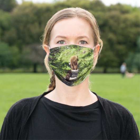 Brown Bear Family Adult Cloth Face Mask (Outside)