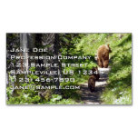 Brown Bear Family Business Card Magnet