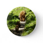 Brown Bear Family Button