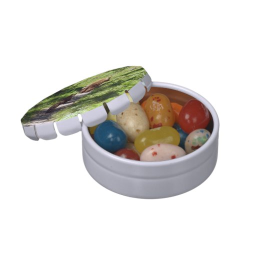 Brown Bear Family Candy Tin (Opened)