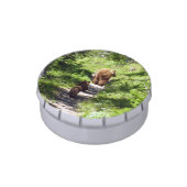 Brown Bear Family Candy Tin (Side)