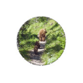 Brown Bear Family Candy Tin (Top)