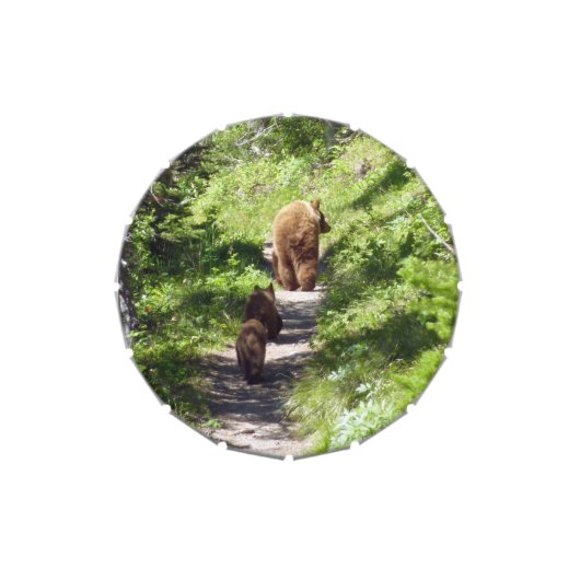 Brown Bear Family Candy Tin (Top)