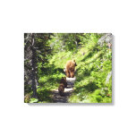 Brown Bear Family Canvas Print