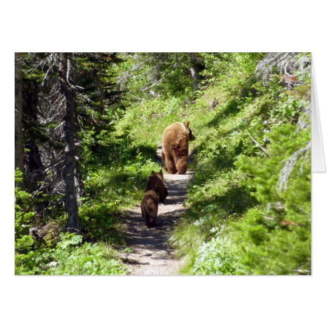 Brown Bear Family Card (Front Horizontal)