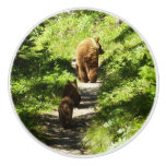 Brown Bear Family Ceramic Knob