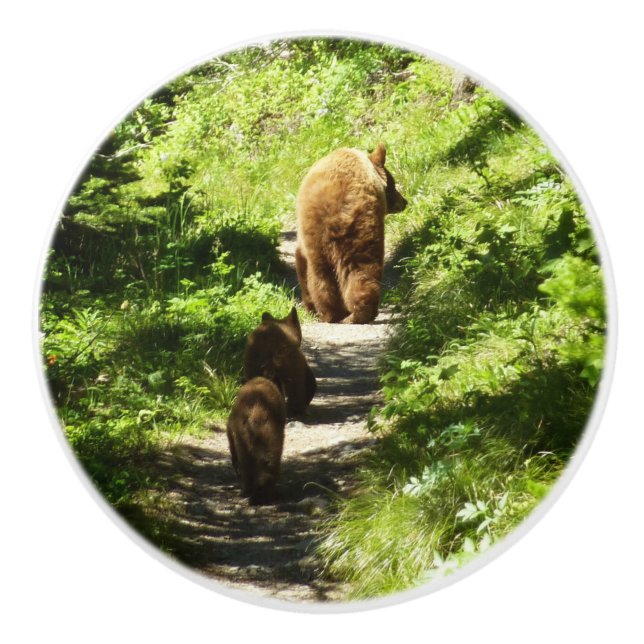 Brown Bear Family Ceramic Knob (Front)
