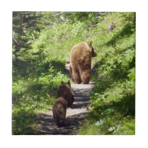 Brown Bear Family Ceramic Tile