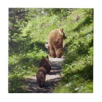 Brown Bear Family Ceramic Tile by mlewallpapers at Zazzle