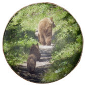 Brown Bear Family Chocolate Covered Oreo (Front)