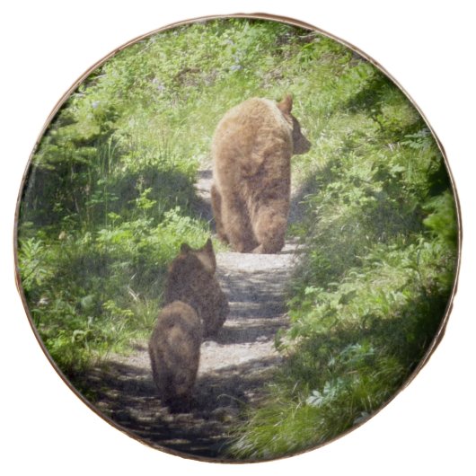 Brown Bear Family Chocolate Covered Oreo (Front)