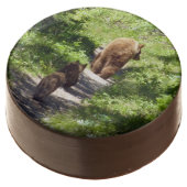 Brown Bear Family Chocolate Covered Oreo (Angled)