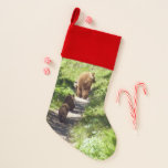 Brown Bear Family Christmas Stocking