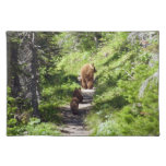 Brown Bear Family Cloth Placemat