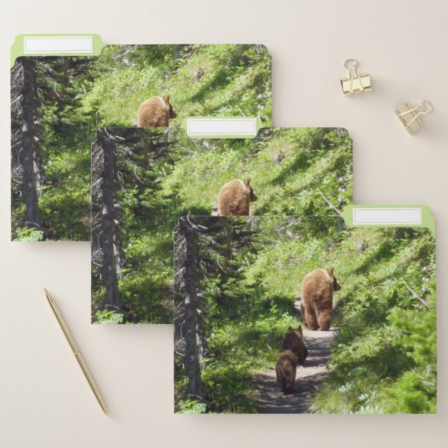 Brown Bear Family File Folder (Set)