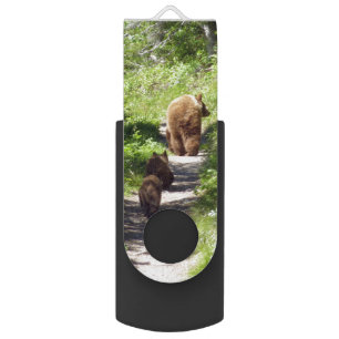 Brown Bear Family Flash Drive