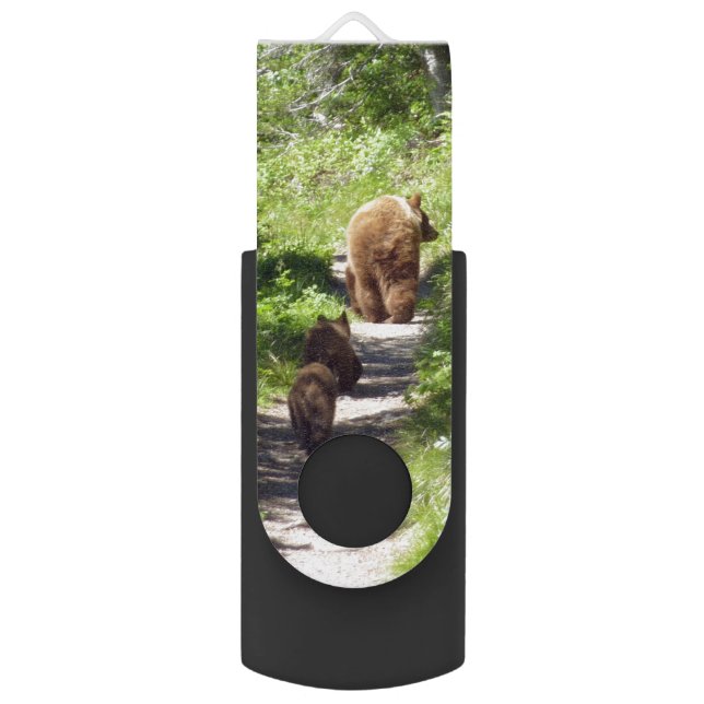 Brown Bear Family Flash Drive (Front Vertical)
