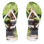 Brown Bear Family Flip Flops