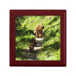 Brown Bear Family Gift Box