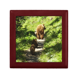Brown Bear Family Gift Box