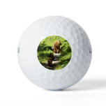 Brown Bear Family Golf Balls
