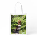 Brown Bear Family Grocery Bag