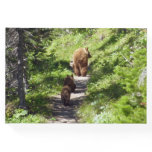 Brown Bear Family Guest Book
