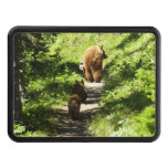 Brown Bear Family Hitch Cover