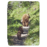Brown Bear Family iPad Air Cover