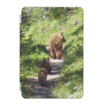 Brown Bear Family iPad Mini Cover