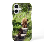 Brown Bear Family iPhone 16 Case