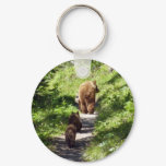 Brown Bear Family Keychain