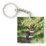 Brown Bear Family Keychain
