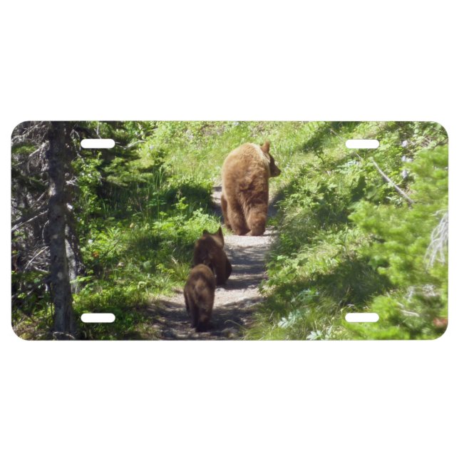 Brown Bear Family License Plate (Front)