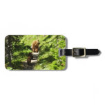 Brown Bear Family Luggage Tag