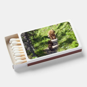 Brown Bear Family Matchboxes