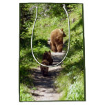 Brown Bear Family Medium Gift Bag