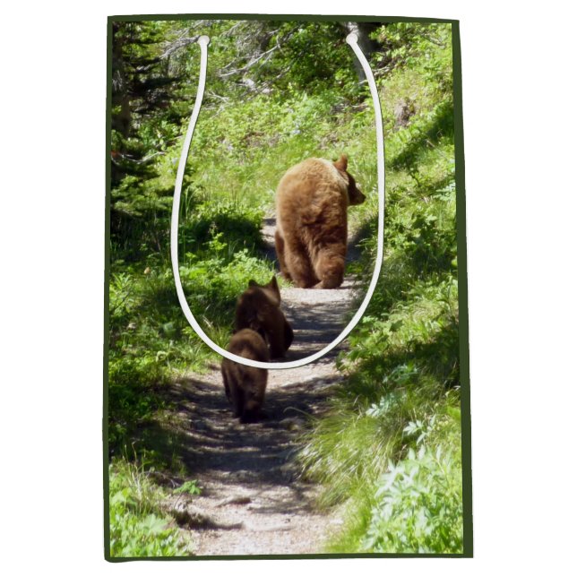 Brown Bear Family Medium Gift Bag (Front)