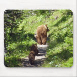 Brown Bear Family Mouse Pad