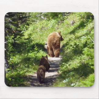 Brown Bear Family Mouse Pad