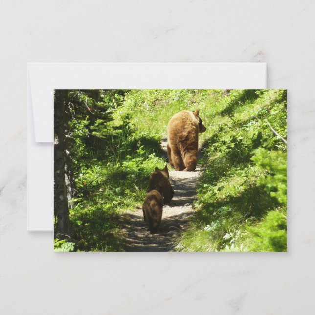 Brown Bear Family Note Card (Front)