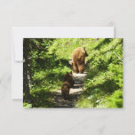 Brown Bear Family Note Card