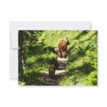 Brown Bear Family Note Card