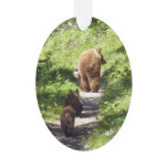 Brown Bear Family Ornament