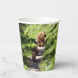 Brown Bear Family Paper Cups
