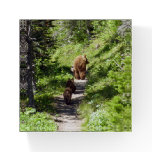 Brown Bear Family Paperweight