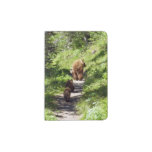 Brown Bear Family Passport Holder